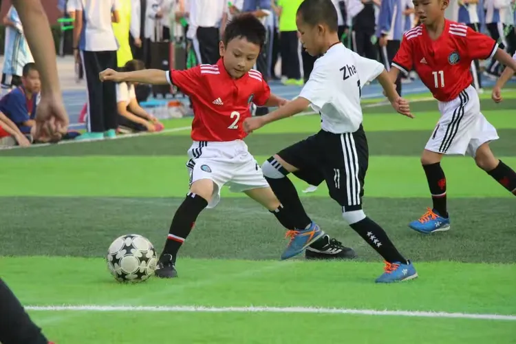 爱游戏app-拳击夜战：齐鲁天虎队淘汰对手姑苏霹雳队，临门一脚致胜赛后更衣室沸腾的简单介绍